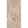 CASA DOLCE CASA NATURE MOOD RAINFORE. COMF.9MM 60X120 RET