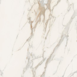 Керамогранит MAJESTIC PURE MAGNIFICENT CALACATTA N/R 60x60