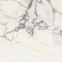 Керамогранит MAJESTIC PURE GLORIOUS ARABESCATO N/R 60x60