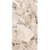 CASA DOLCE CASA NATURE MOOD GLACIER GLOSS.9MM 60X120 RET
