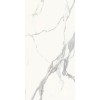 CERAMICHE PIEMME MAJESTIC PURE SUPERB STATUARIO N/R 60x119,5
