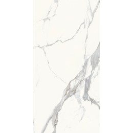 Керамогранит MAJESTIC PURE SUPERB STATUARIO N/R 60x119,5