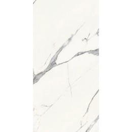 Керамогранит MAJESTIC PURE SUPERB STATUARIO N/R 60x119,5