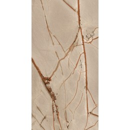 Керамогранит NATURE MOOD RAINFORE.GLOSS.9MM 60X120 RET