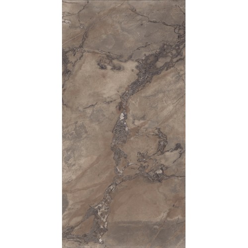 ARIANA EPOQUE BROWN RET 60X120