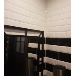 Керамическая плитка Biselado Blanco Brillo (blanco biselado bx) 10x20 см