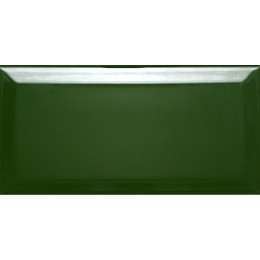 Керамическая плитка Biselado Botella Brillo 10x20 см